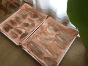 ファイル 2016-04-09 16 49 38